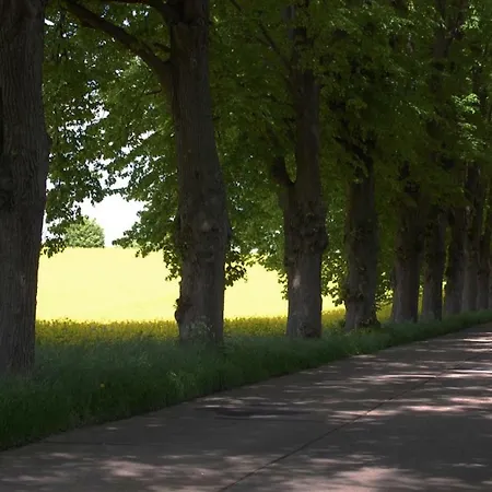 Fischerhus In - Nur Fuer Urlauber 別荘 *